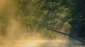 With Open Arms - Michael E