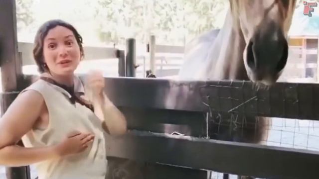 Невероятные и Смешные Моменты с Животными смотреть онлайн