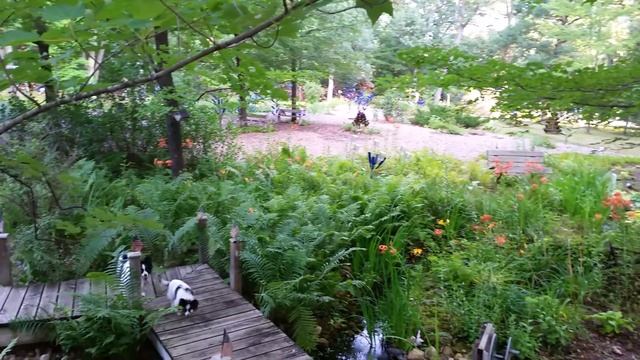 Panorama of the lower Hosta Gardens смотреть онлайн