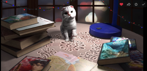 Предновогоднее видео с книжным котиком