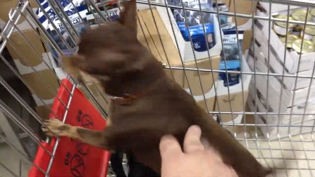 Преодоление ультразвука (Щелковская) смотреть онлайн