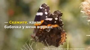 Притча о бабочке Все в твоих руках