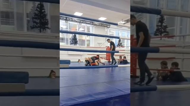 Чемпионат и первенство Удмуртской Республики по ММА,отбор на ПФО