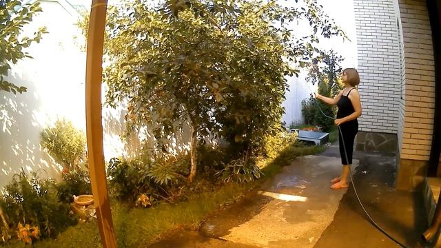 Старые тарелки. Декор для сада? смотреть онлайн