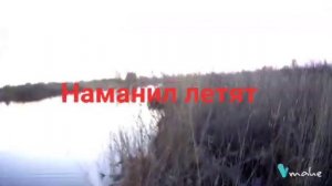 Закрытия весенний охоты с подсадной уткой.Добыл влёт чирка из одностволки ИЖ-18МК-М курковки12/76 к