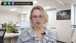 Как купить мини эскаватор. Япония. Аукцион.