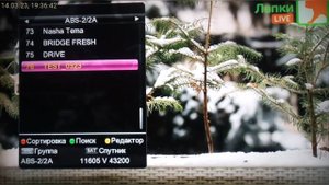 Фрагмент телеканала "Лапки LIVE" (без звука, CAMRIP, 14.03.23) (с безразмеркой)