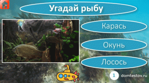 Тест Рыбы. Угадай рыбу. Проверь хорошо ли ты знаешь рыб в игре-викторине. 10 вопросов и ответов.