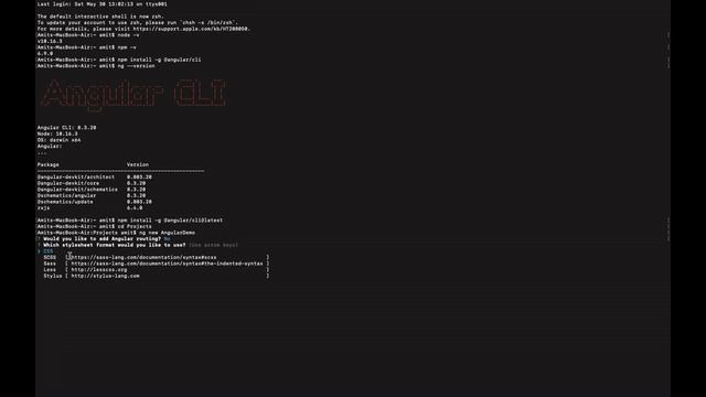 Angular 8 Tutorial - 2 :  Setting up the Development Environment for Angular