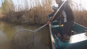 Поездка в Астрахань на рыбалку. База Иголка 199.