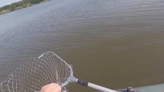 Миролюбово лето 2020 смотреть онлайн