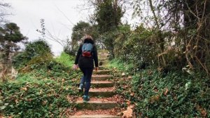 Грузия - Батуми | Зеленый мыс сегодня | #Отъехавшие