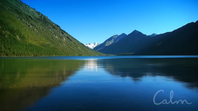 Daily Calm | 10 Minute Mindfulness Meditation | Be Present смотреть онлайн