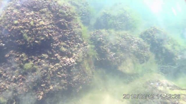 Красота Черного моря! смотреть онлайн