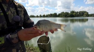 РЫБАЛКА НА ФИДЕР, ЛОВЛЯ КАРАСЯ, КАРПА, РЫБАЛКА НА ПРУДУ