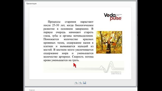 Старение