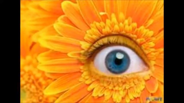 компьютерная графика wiki смотреть онлайн