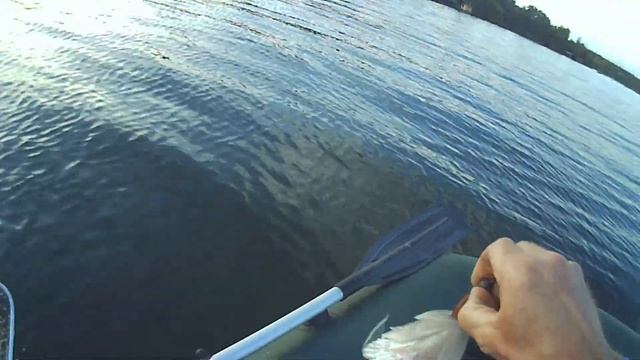 Ловля судака в октябре с лодки смотреть онлайн