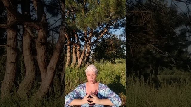 Медитация: Абсолютный баланс смотреть онлайн