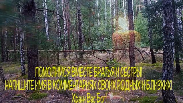 ? НЕ ПРОПУСТИ ОСОБЫЙ ДЕНЬ. Прямо сейчас помолитесь Сильная молитва поминальная. Православие? смотреть онлайн