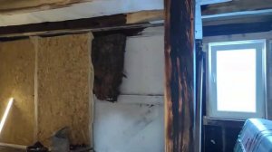 самый дешёвый антисептик для дерева, и много лирики