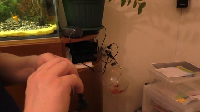 Мега тихий компрессор для аквариума с Алиэкспресс! смотреть онлайн