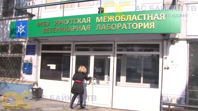 Тест на качество сосиски. смотреть онлайн