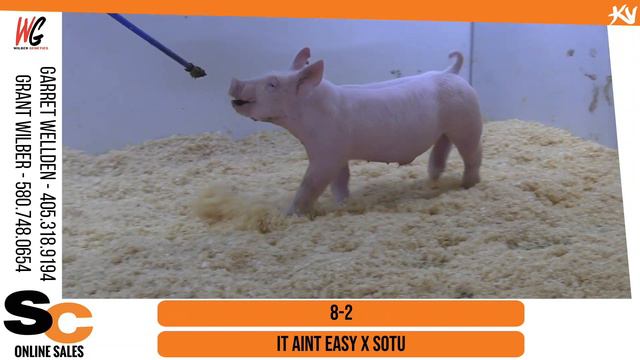 8-2 | 7-1 смотреть онлайн