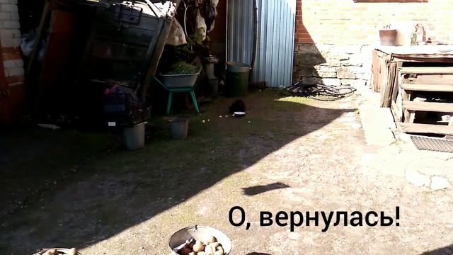 11 СПОСОБОВ ЗАНЯТЬ СЕБЯ В ДЕРЕВНЕ, ЕСЛИ ТЕБЕ СКУЧНО смотреть онлайн