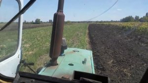 Дисковка и пахота 2019 на ЮМЗ HOLLAND
