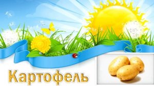 Фрукты, овощи и ягоды для детей