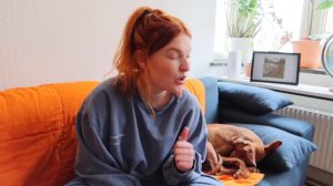 Practical things I've learnt from owning a Pharaoh Hound | Living with a puppy | Dog Training