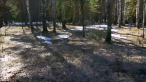 В лес на электровелосипеде