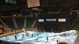 Wuthering Heights | The Woodlands HS Varsity Winter Guard | WGI Southwestern 2016