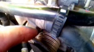 Датчик положения дроссельной заслонки (ДПДЗ) - показания при диагностике