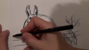 Рисуем животных. Как нарисовать белку. How to Draw a squirrel