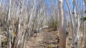 Гора Вайда. Походы по острову Сахалин. май 2021г