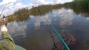 Озеро Жалтыр Шербакуль