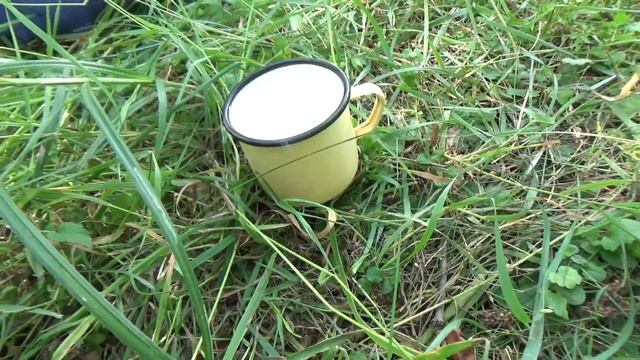 Поход,рыбалка с ночевкой Тест покупок с магазина Спортмастер смотреть онлайн