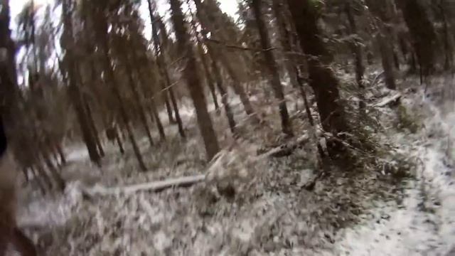 25.10.14 рябчик смотреть онлайн