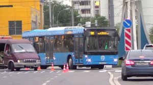 Автобус МАЗ-203 "Московский Транспорт"