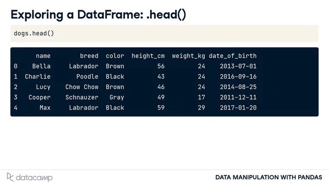 Introducing DataFrames | Pandas