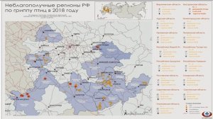 Публичные обсуждения за 2018 год Саранск