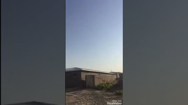 Тренировка сокола на вобило  Falcon flying Xon_falconry