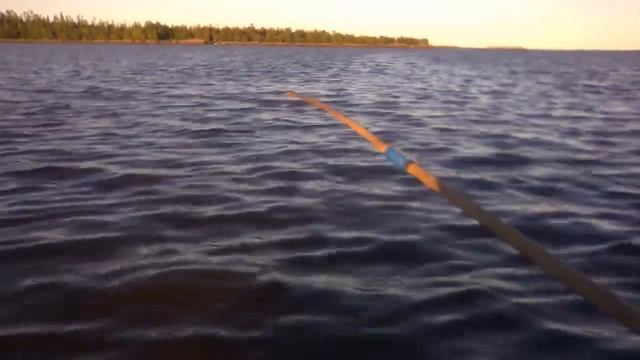 ЛОВИМ РЫБУ КАМБАЛУ НА МОРСКОГО ЧЕРВЯ!