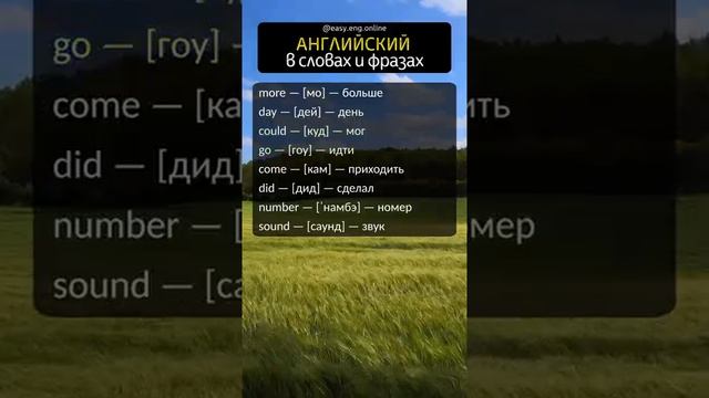 Английский в словах и фразах