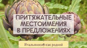 Притяжательные местоимения в итальянском языке в предложениях