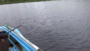 Рыбалка на кенозере