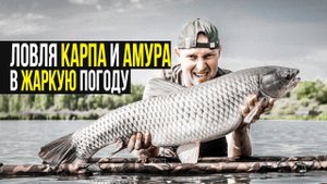 Ловля карпа и амура на бойлы в жаркую погоду. Карпфишинг летом.