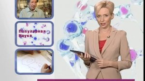 Опасный фумигатор. Рассказывает Валерий Петросян.